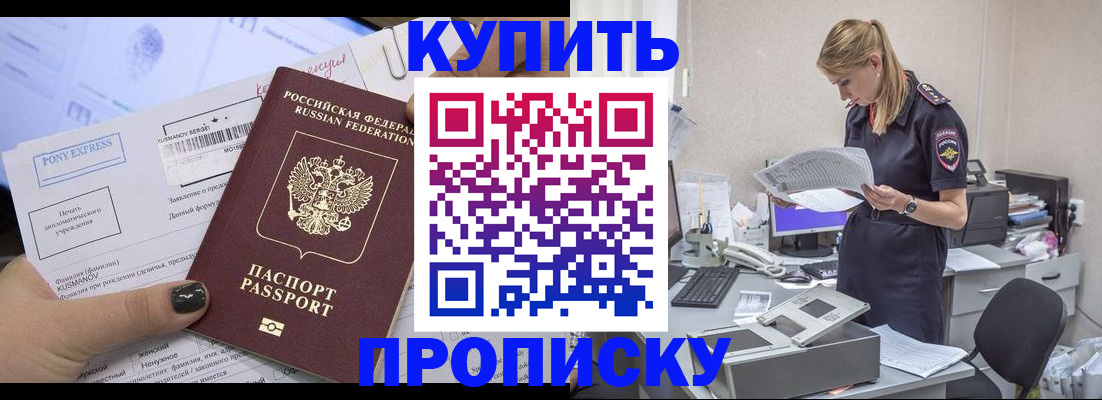 временная регистрация поиск в Новгородской области